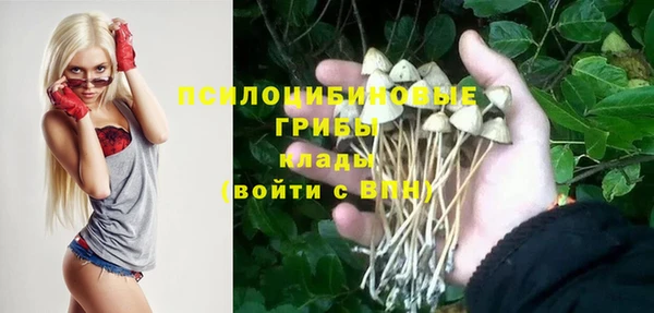 спайс Переславль-Залесский