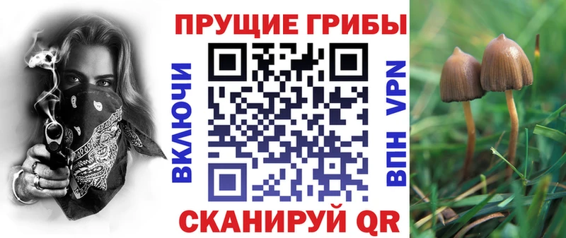 darknet Telegram  МЕГА как войти  Псилоцибиновые грибы мухоморы  Семикаракорск  купить  